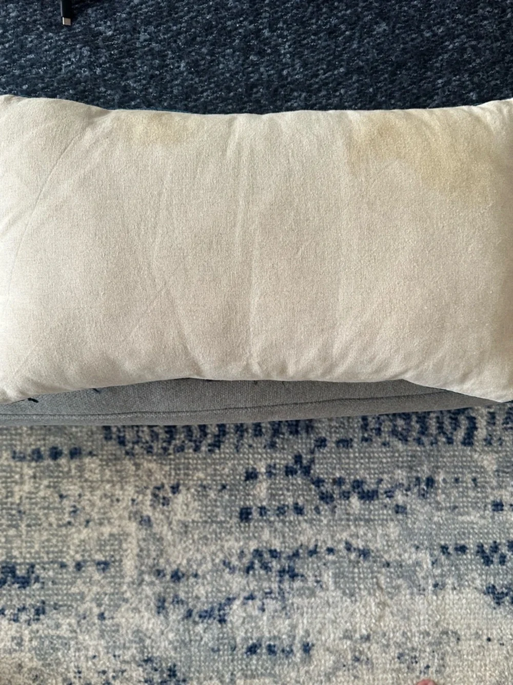 West Elm Plush Velvet Lumbar Pillow